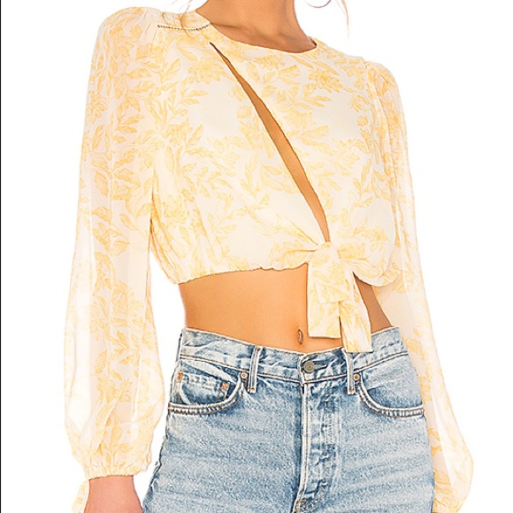 House of Harlow top